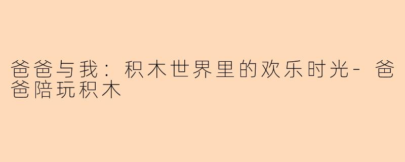 爸爸与我：积木世界里的欢乐时光-爸爸陪玩积木
