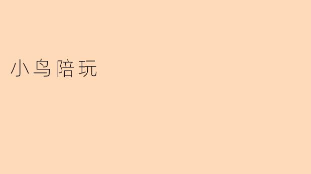小鸟陪玩,心灵的陪伴者