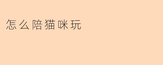 怎么陪猫咪玩