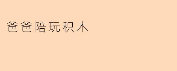 爸爸陪玩积木