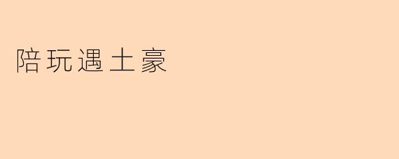 陪玩遇土豪
