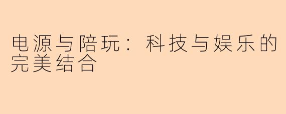 电源与陪玩：科技与娱乐的完美结合