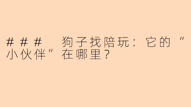 ### 狗子找陪玩：它的“小伙伴”在哪里？
