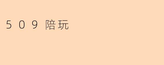 509陪玩