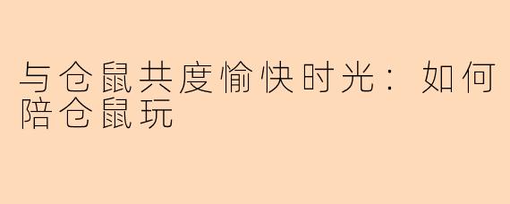 与仓鼠共度愉快时光:如何陪仓鼠玩
