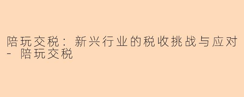 陪玩交税：新兴行业的税收挑战与应对-陪玩交税