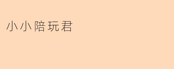 小小陪玩君