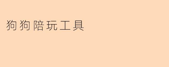 狗狗陪玩工具