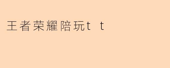 王者荣耀陪玩tt