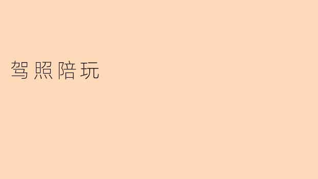 驾照陪玩