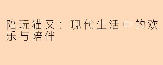 陪玩猫又：现代生活中的欢乐与陪伴