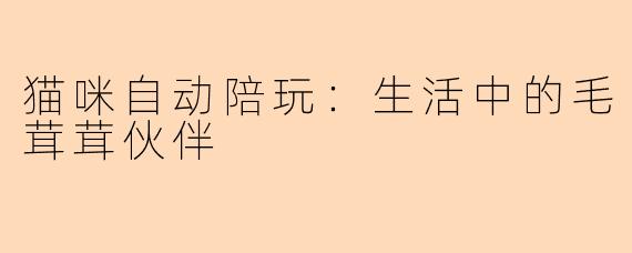 猫咪自动陪玩：生活中的毛茸茸伙伴