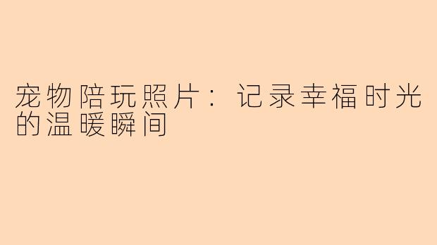 宠物陪玩照片：记录幸福时光的温暖瞬间