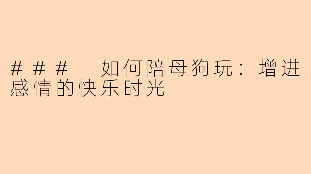 ### 如何陪母狗玩：增进感情的快乐时光