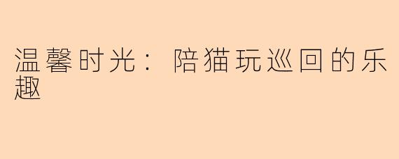 温馨时光：陪猫玩巡回的乐趣