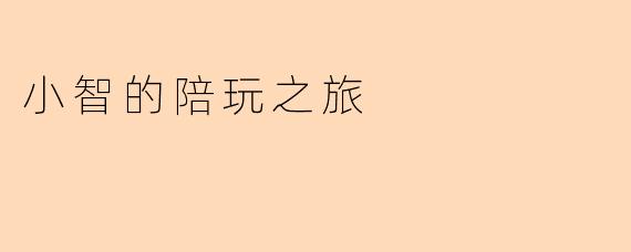 小智的陪玩之旅