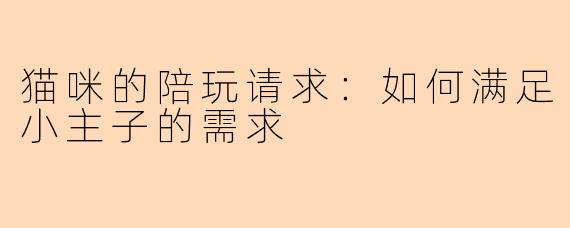 猫咪的陪玩请求:如何满足小主子的需求