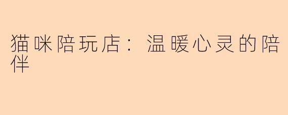 猫咪陪玩店：温暖心灵的陪伴