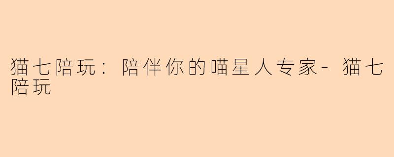 猫七陪玩：陪伴你的喵星人专家-猫七陪玩