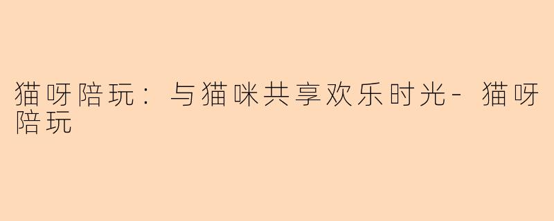 猫呀陪玩：与猫咪共享欢乐时光-猫呀陪玩