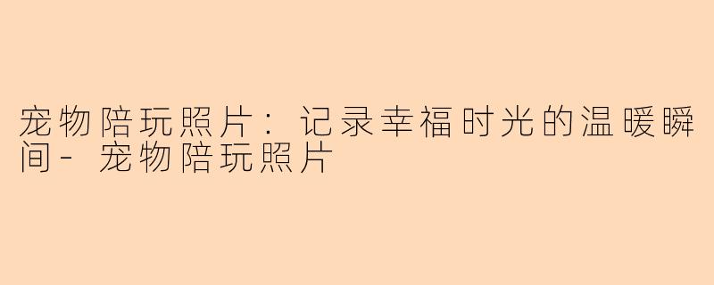 宠物陪玩照片：记录幸福时光的温暖瞬间-宠物陪玩照片
