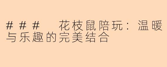 ### 花枝鼠陪玩：温暖与乐趣的完美结合