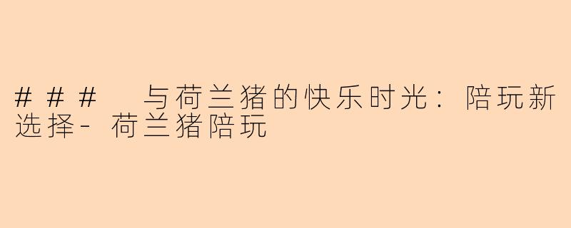 ### 与荷兰猪的快乐时光：陪玩新选择-荷兰猪陪玩