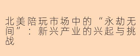 北美陪玩市场中的“永劫无间”：新兴产业的兴起与挑战