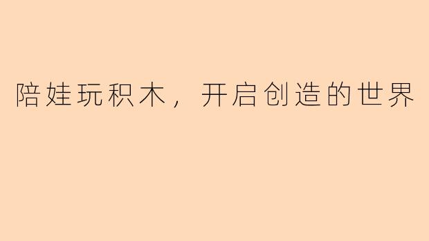 陪娃玩积木，开启创造的世界