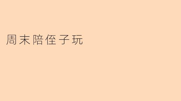 周末陪侄子玩