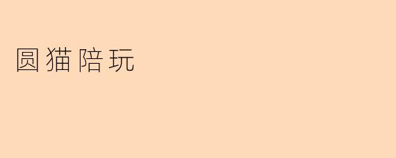 圆猫陪玩是什么样的服务？