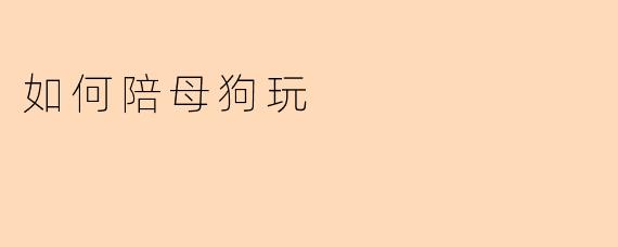 如何陪母狗玩