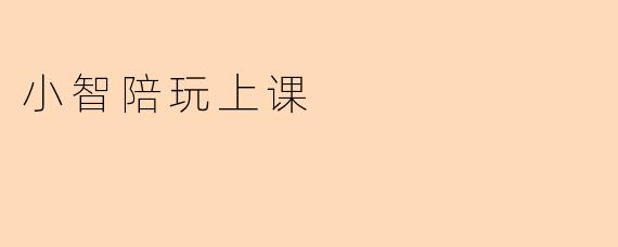 小智陪玩上课