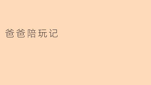 爸爸陪玩记