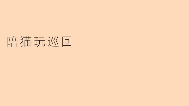 陪猫玩巡回
