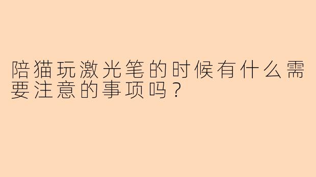 陪猫玩激光笔的时候有什么需要注意的事项吗?