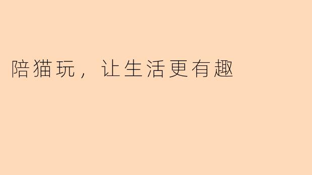 陪猫玩，让生活更有趣