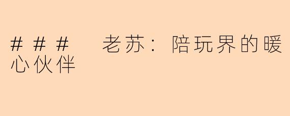 ### 老苏：陪玩界的暖心伙伴 