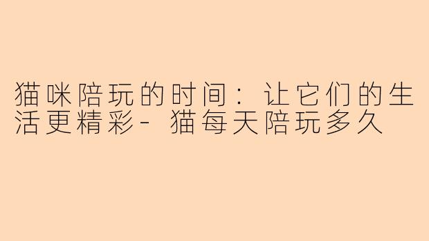 猫咪陪玩的时间：让它们的生活更精彩-猫每天陪玩多久