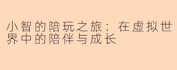 小智的陪玩之旅：在虚拟世界中的陪伴与成长