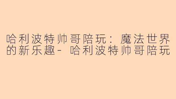 哈利波特帅哥陪玩：魔法世界的新乐趣-哈利波特帅哥陪玩