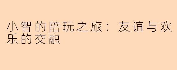 小智的陪玩之旅：友谊与欢乐的交融