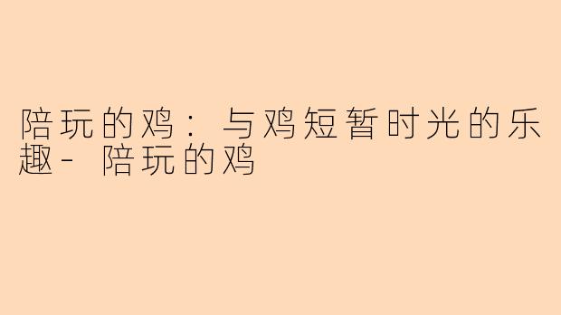 陪玩的鸡：与鸡短暂时光的乐趣-陪玩的鸡