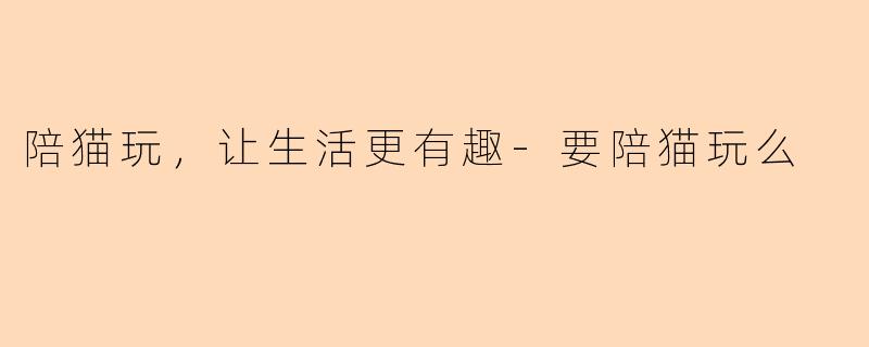陪猫玩，让生活更有趣-要陪猫玩么