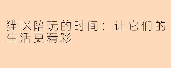猫咪陪玩的时间：让它们的生活更精彩