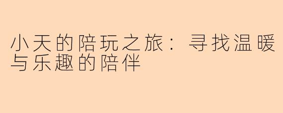 小天的陪玩之旅：寻找温暖与乐趣的陪伴