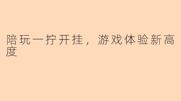 陪玩一拧开挂,游戏体验新高度