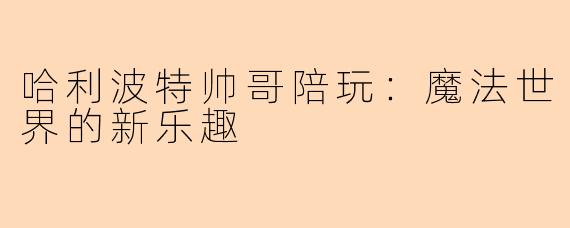 哈利波特帅哥陪玩：魔法世界的新乐趣