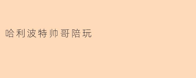 哈利波特帅哥陪玩