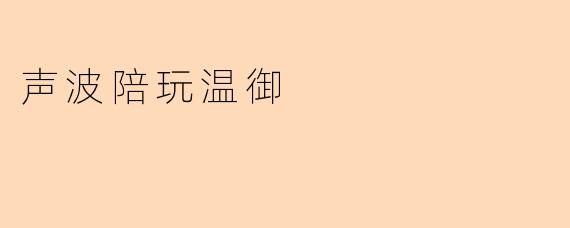 声波陪玩温御是什么？****